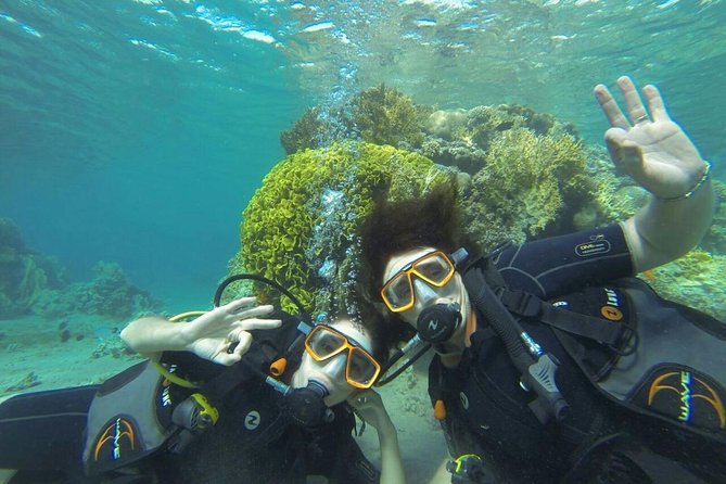 Jordan Group Tour - Day 7: A free day in Aqaba