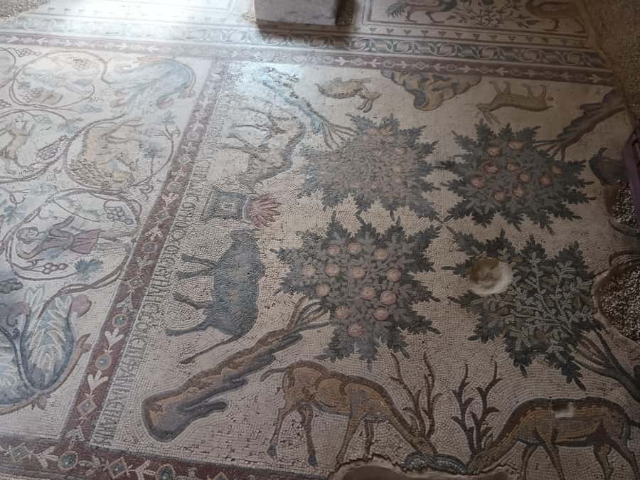 Jordan Mosaic Wonders: Umm ar-Rasas, Madaba & Mount Nebo - Church of the Apostles and the smaller church sites