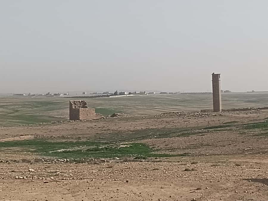 Jordan Mosaic Wonders: Umm ar-Rasas, Madaba & Mount Nebo - Mount Nebo: mosaics with a wide view