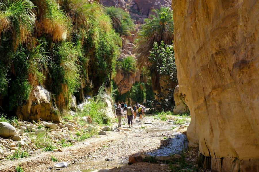 Jordan Trail: Dana to Petra 4-Day Trekking Tour - Who should book this Jordan Trail trek?