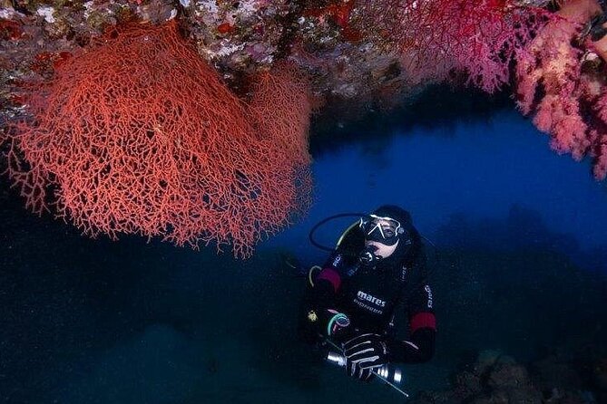 Journey of Diving or Snorkelling from a Boat - What the 22-meter boat changes