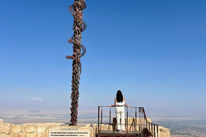 Madaba, Mount Nebo & Dead Sea Day Tour - Who will enjoy this private tour most?