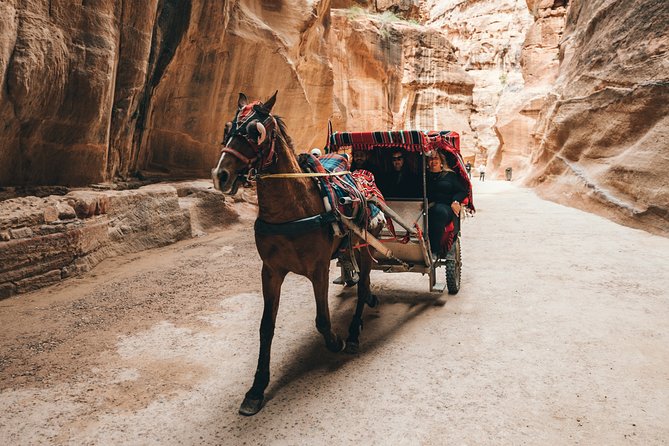 MULTI DAYS TOURS | TWO Days tour in PETRA | The Jordanian Mappers - The Jordanian Mappers service style