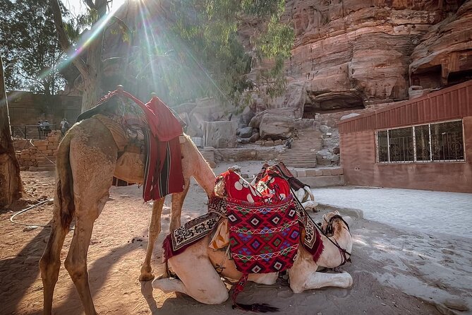 Nabatean Nights Stay in Petra Jordan - Bedouin Village with Tour - Mule ride to the Monastery
