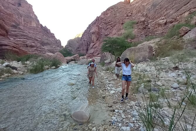 One Day Hiking Wadi Al Hasa Canyon - Who should book this canyon walk?