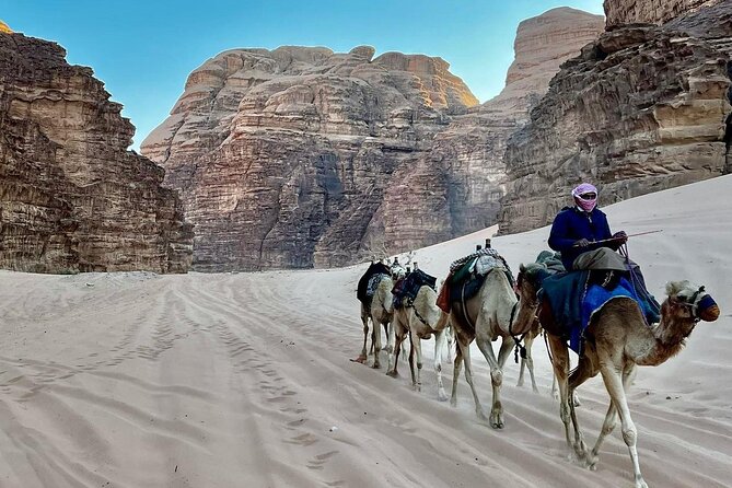 One Day Petra & Wadi Rum from Aqaba - Transport, group size, and guide support