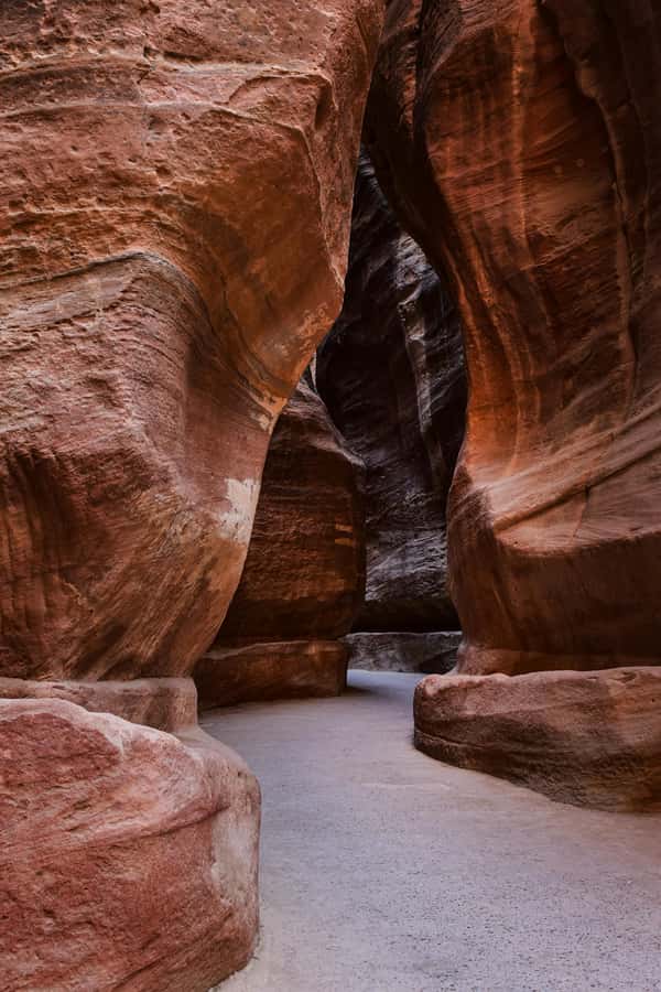 One Day Tour from Aqaba - Petra and Wadi Rum - Aqaba - Why this Aqaba day trip works