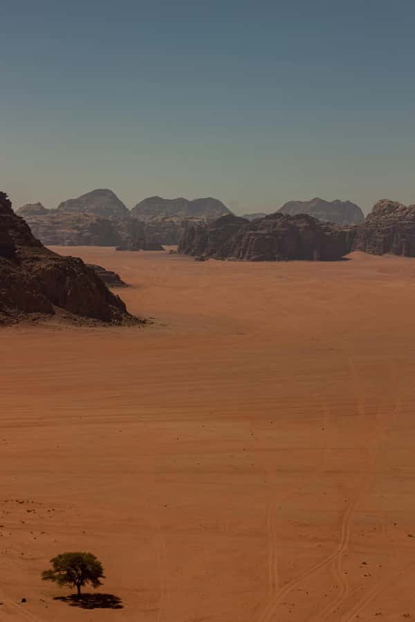 One Day Tour from Aqaba - Petra and Wadi Rum - Aqaba - The driver and service experience