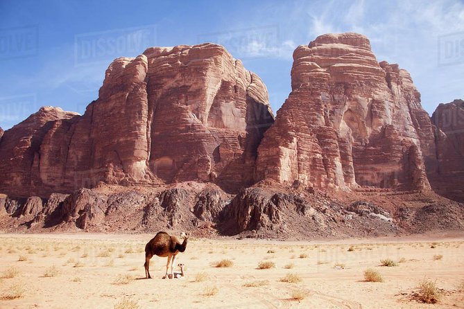 One Day Tour Wadi Rum - Why this Wadi Rum day trip works