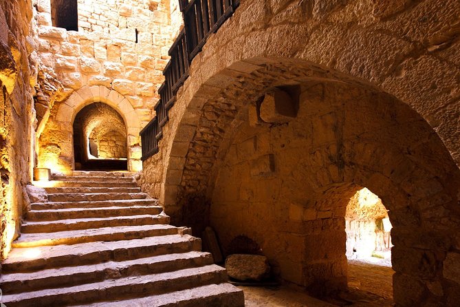 One Day Trip to Jerash & Ajloun Castle - The Oval Plaza and Cardo Maximus