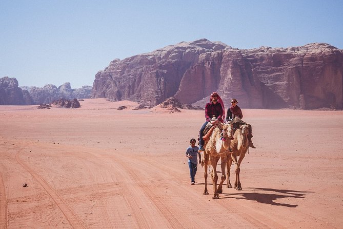 Petra and Wadi Rum Day Excursion with Hotel Collection - Who should choose this day trip