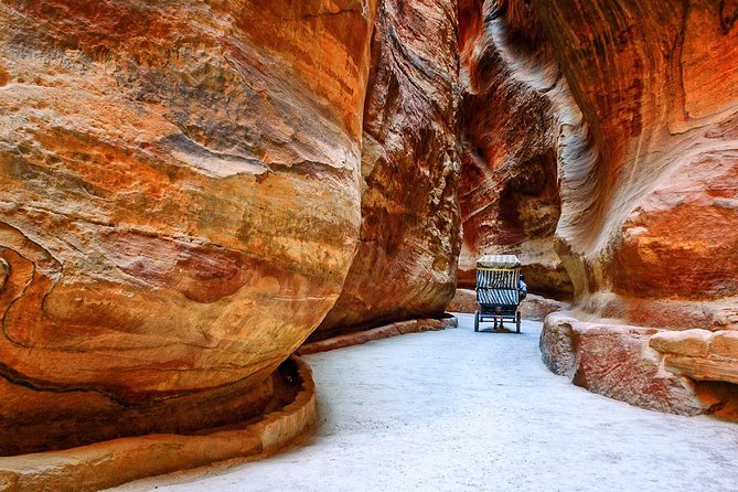 Petra and Wadi Rum Day Trip from Amman - The optional 700-meter horse ride