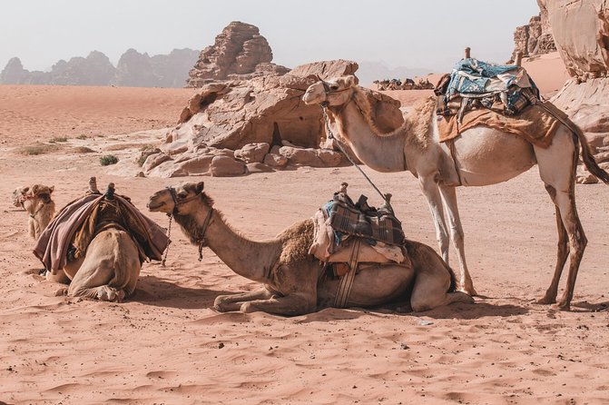 Petra and Wadi Rum in One Day | The Jordanian Mappers - Free Time to Choose Your Petra Priorities