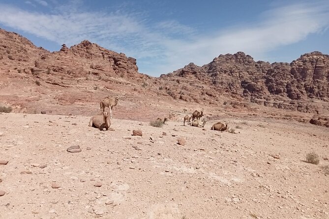 Petra Back-Road Trail and Hike - Key points at a glance