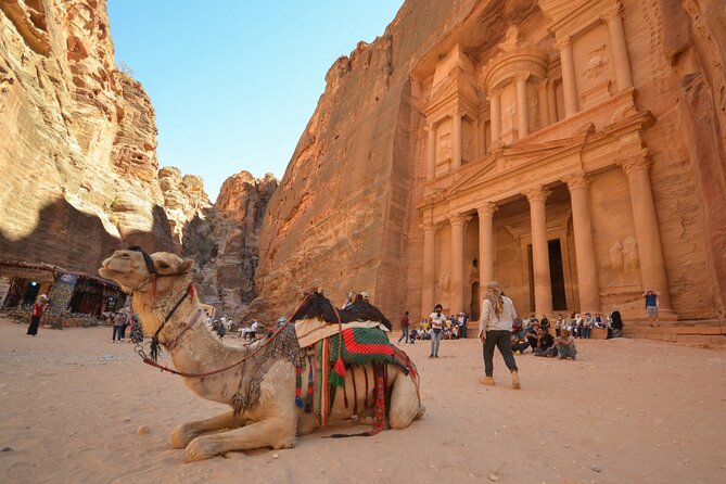 Petra & Dead Sea - One day Private tour - The drive back to Amman at about 7:00 p.m.