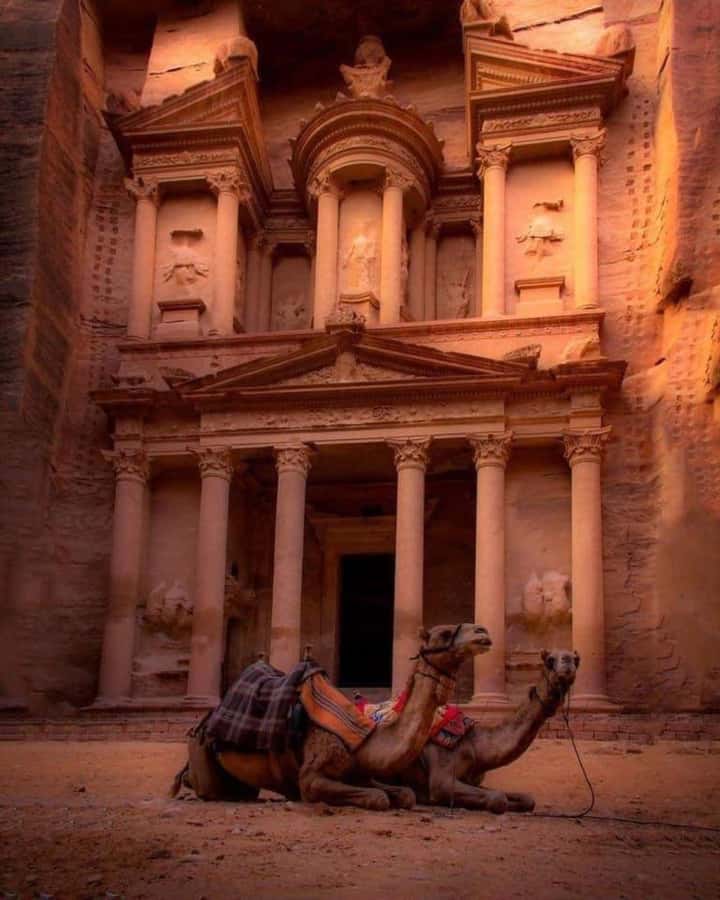Petra & Dead Sea Private day tour - The real cost at $63 per person