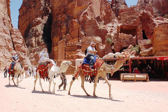 Petra Excursion from Dead Sea - Lunch, admission, and the real value of $176