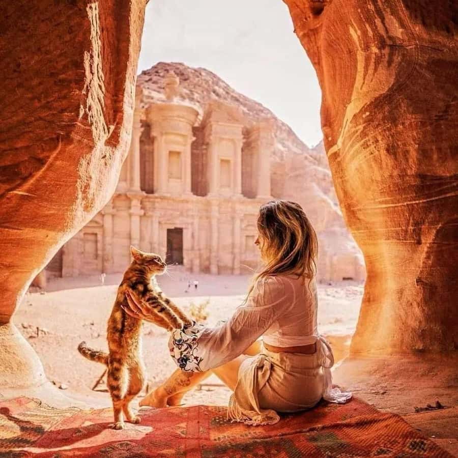 Petra Full-Day Private or Group Tour From Amman - Who should book this experience