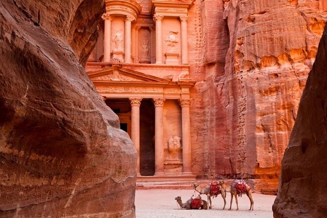 Petra One Day Tour From Aqaba / Aqaba Port ( Cruise Ship) - Meeting your driver in Aqaba or at the port