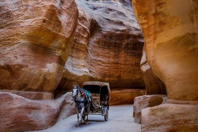 Petra Private Full-Day Tour - The Monastery and the price of the climb