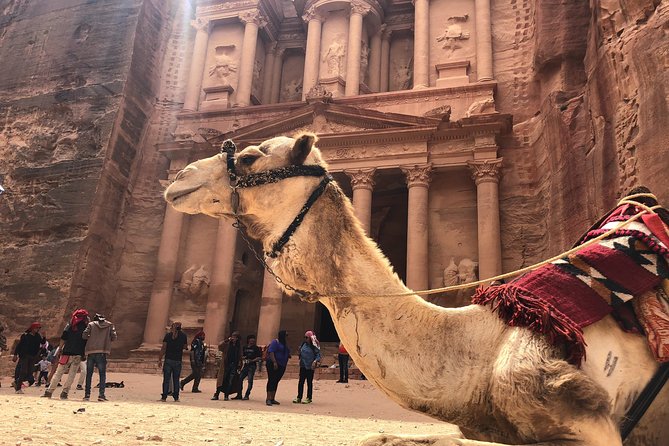 Petra Shore Excursion Aqaba Port - Three hours in Petra, with a clear tradeoff