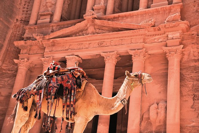 Petra Shore Excursion from Aqaba Port - Key points to know before you book