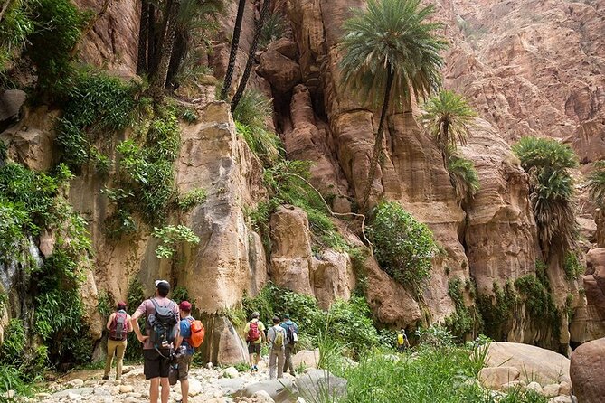 Petra Wadi Rum & Dead Sea - Three days private tour - What the private driver adds