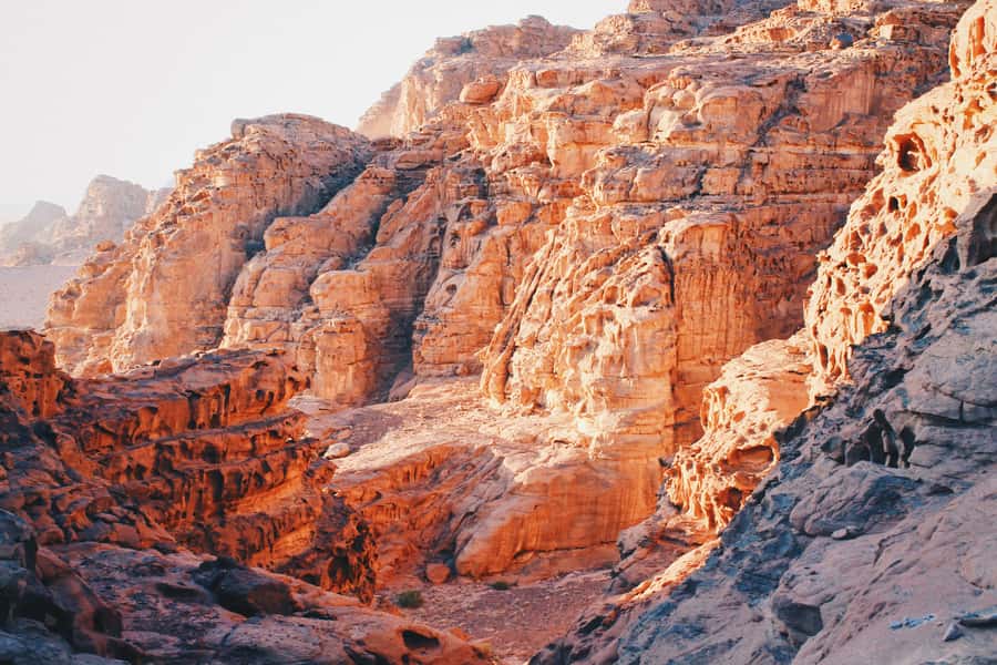 Petra & Wadi Rum: Full Day Private Tour with Hotel Pickup - The Wadi Rum 4x4 ride