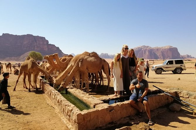 Petra & Wadi Rum in 3 Days from Amman Airport - What the $477 Price Really Covers