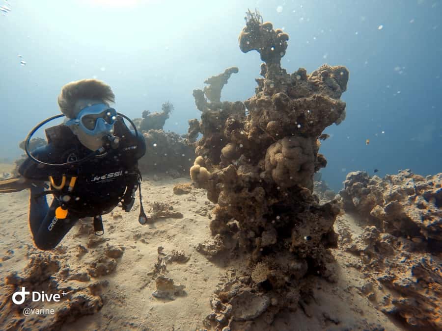Pivate scuba diving in the Red Sea of Aqaba - Meeting Aqaba Pro Divers at the Red Sea