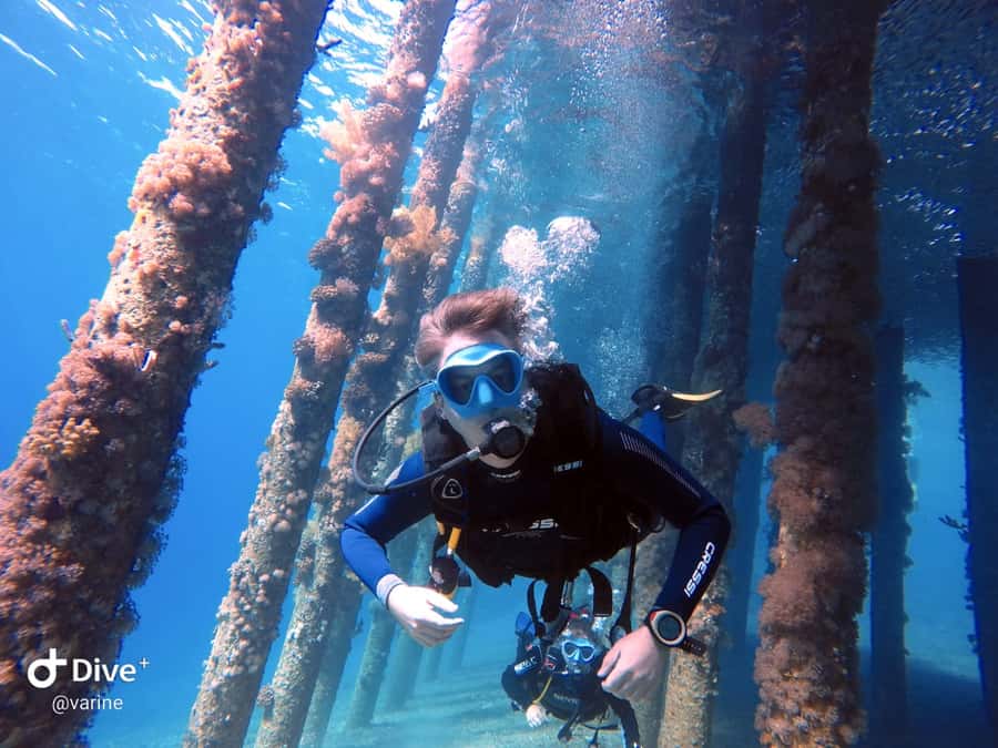 Pivate scuba diving in the Red Sea of Aqaba - Coral reefs, wrecks, and a personal guide