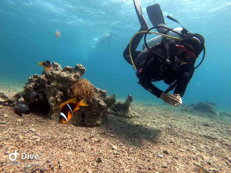 Pivate scuba diving in the Red Sea of Aqaba - What the underwater photos add