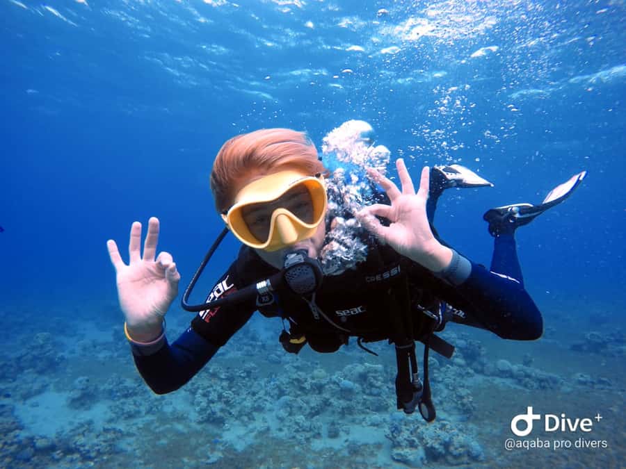 Pivate scuba diving in the Red Sea of Aqaba - A closer look at the two-hour schedule