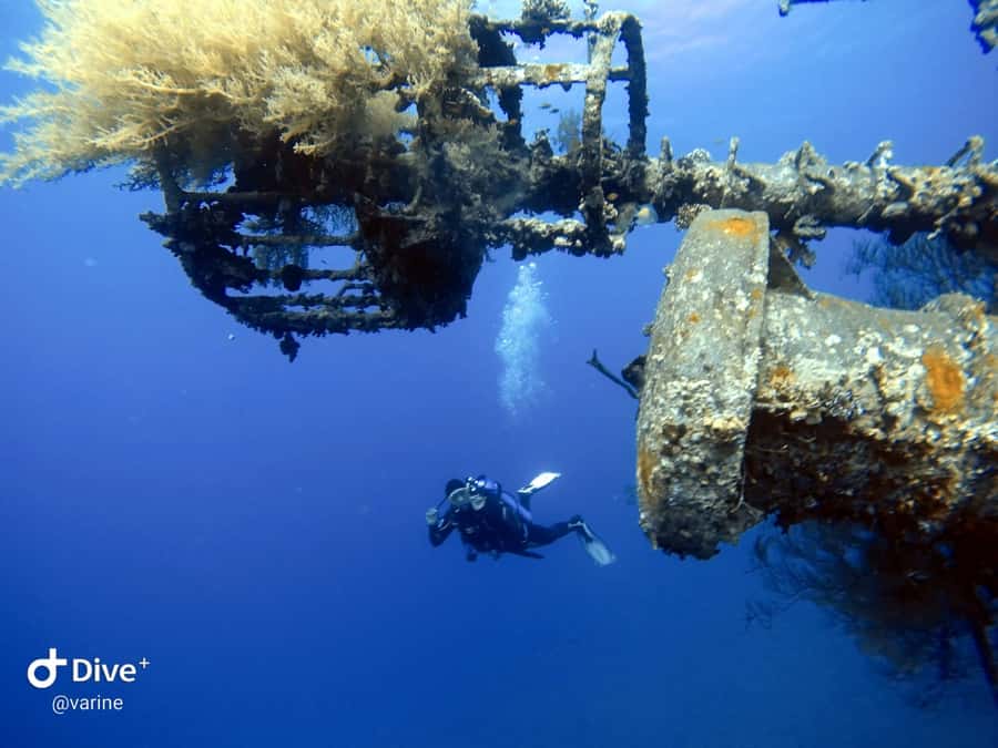 Pivate scuba diving in the Red Sea of Aqaba - Learning the basics before going below
