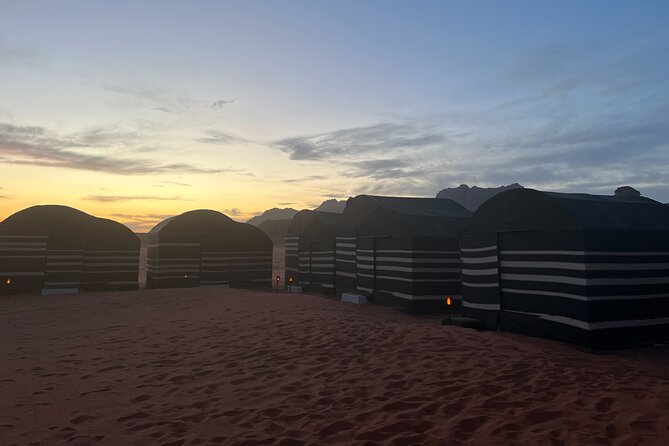 Private 1 Day Wadi Rum Desert Tour - Meeting the desert at Wadi Rum Village