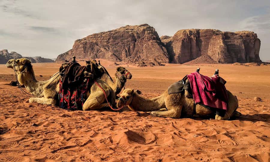 Private 3-Hour Guided Tour of Petra with Hotel Pickup . - Is the 73 USD Price Good Value?