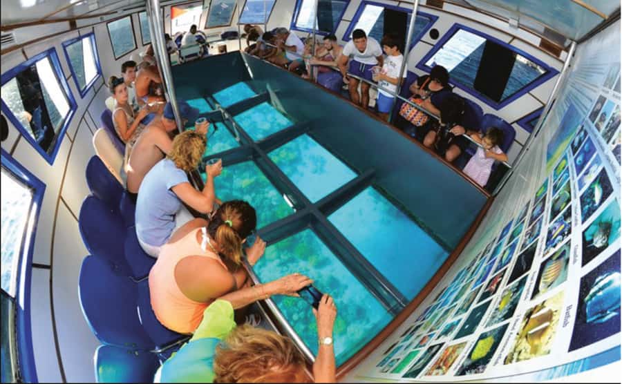 Private beach access with lunch and boat trip - Six hours beside Aqaba’s marine park