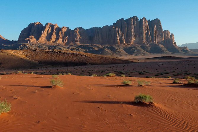 Private Day Trip to Petra and Wadi Rum with Lunch from Aqaba City - What the $325 price includes
