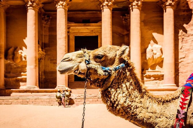 Private Full Day Tour from Amman to Petra City - Who will enjoy this day trip most