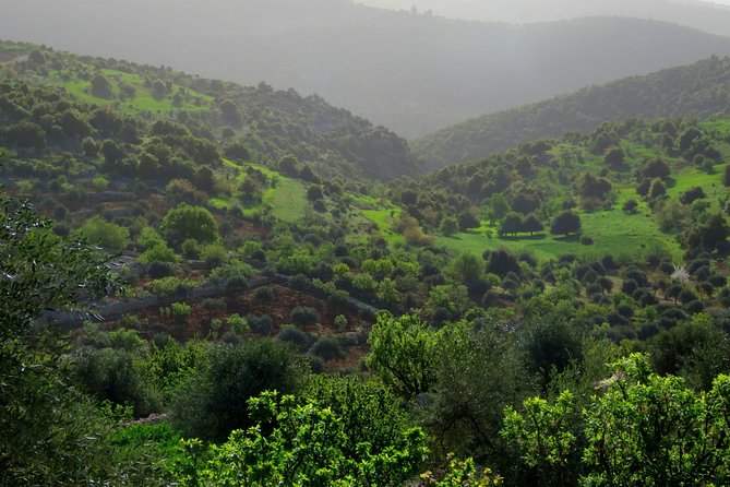 Private Full Day Tour to Umm Qais and Ajloun from Amman - What the $120 price really includes