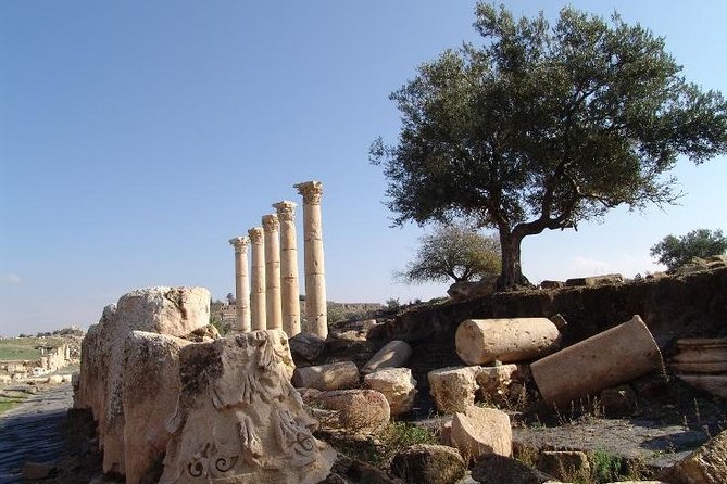 Private Guided Umm Quais and Jerash tour with lunch - Why this private day trip works from Amman