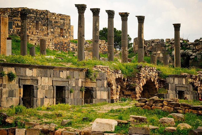 Private Guided Umm Quais and Jerash tour with lunch - Who should book this Jordan excursion?