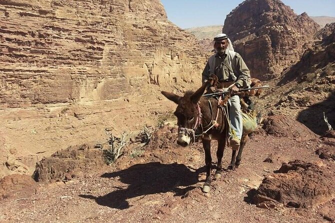 Private Half-Day Tour of Petra with Lunch - What private really means here