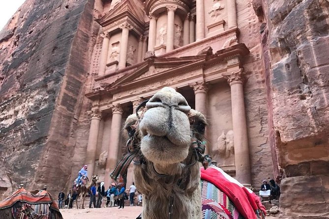 Private Petra Full-Day Trip from Aqaba City - Lunch, water, and what the price covers