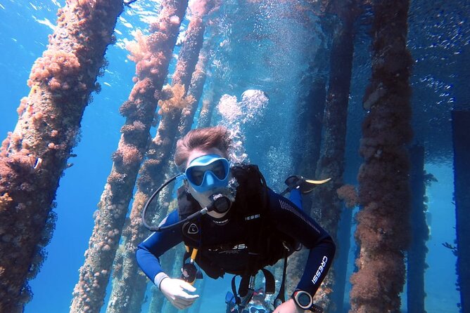 Private Scuba Diving Adventure in the Red Sea of Aqaba - Quick take: what makes this Aqaba experience special