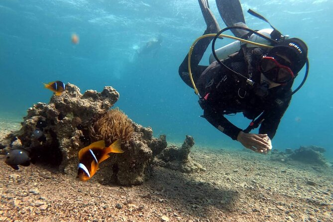 Private Scuba Diving Adventure in the Red Sea of Aqaba - Equipment, photos, and the value of the package