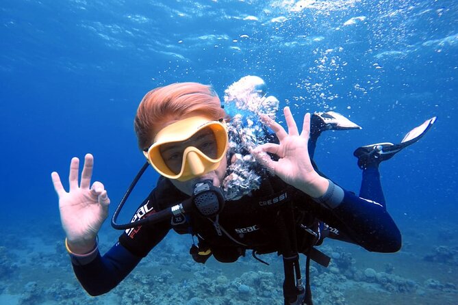 Private Scuba Diving Adventure in the Red Sea of Aqaba - Coral reefs, fish, and wreck sites