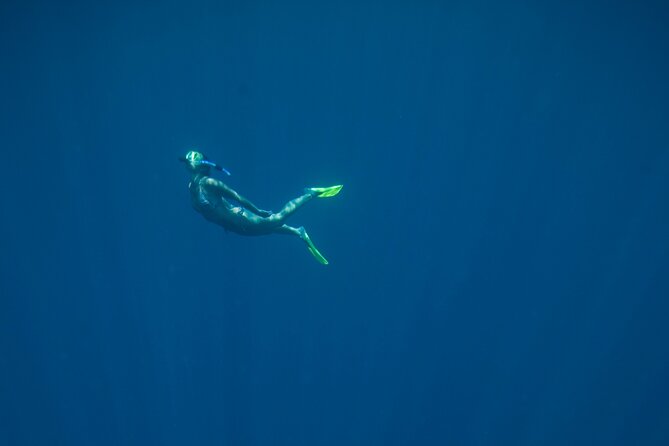 Private Snorkeling Experience in Aqaba Red Sea - The guide’s role makes the short tour work