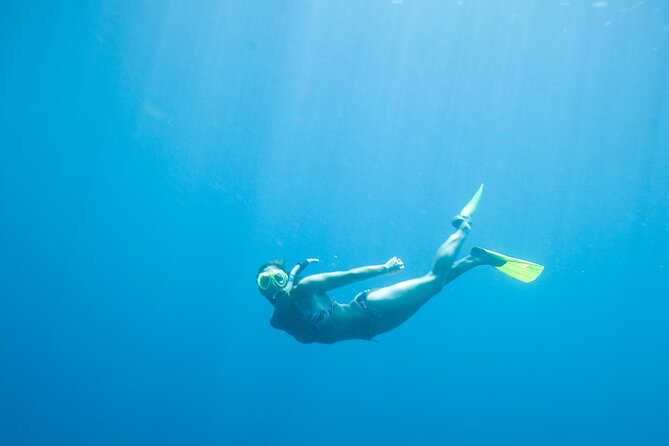 Private Snorkeling Experience in Aqaba Red Sea - Is $27 good value for one hour?