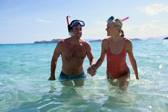 Private Snorkeling Experience in Aqaba Red Sea - Who should book this Aqaba snorkeling trip?